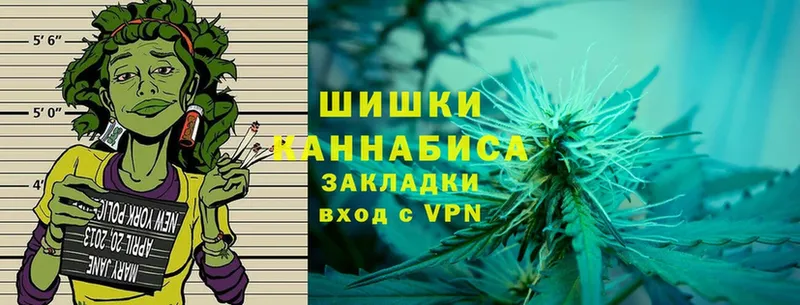 что такое   Болотное  Канабис Ganja 